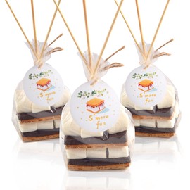 100 pcs S'more Fun Bag set Clear Gusseted Poly Bags with S'mores Fun Tag and Bamboo Stick for Smores