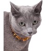Amber Dog Cat Chain Collar for Protection Against Ticks, Baltic