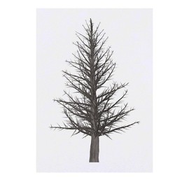 'Dead Pine Tree' Temporary Tattoo - Water Resistant, Skin-Safe, Non-Toxic Transfer (TO00064537)
