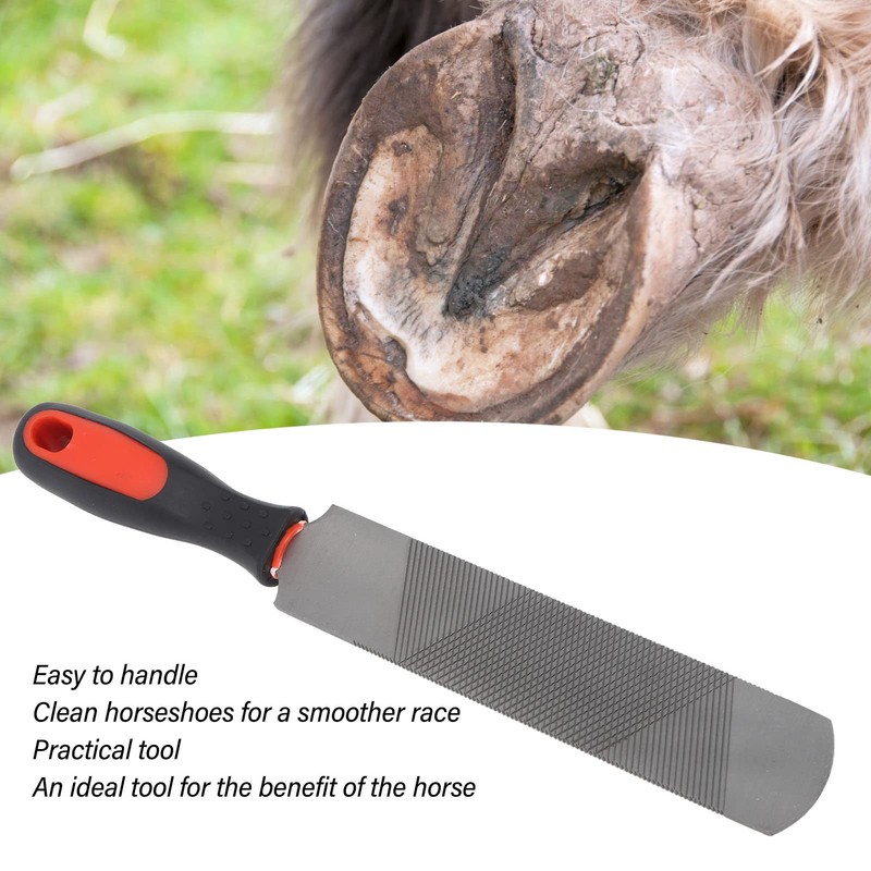 8 Inch Farrier Rasp File with Rubber Handle, Mini Horseshoe
