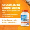Doctor's Best Glucosamine Chondroitin Msm Joint Support 240 Count Capsules