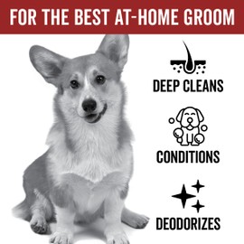 Pride and Groom DogDays Nourishing Dog Conditioner | Tearless, Hypoallergenic Formula for Allergies, Itching & Dry Skin | Natural Detangler for Dogs | Extends Life of Dog Groom | 16 oz