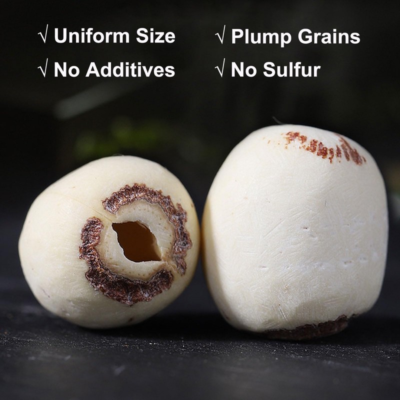 Dried Lotus Seed, 5.99oz/170g Dried White Lotus seeds, Perfect for