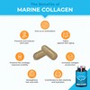 Plastimea Pure Marine Collagen (900mg) - Enriched with Vitamins C and E C Patented Premium Type I & II Hydrolysed Collagen - Skin Hydration - Protect Bones and Joints - 90 Capsules - French Expertise