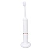 Plaque Remover IPX7 Waterproof Multifunction Electric Teeth Cleaning Kit for