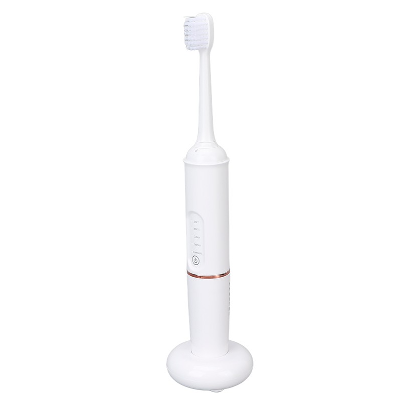 Plaque Remover IPX7 Waterproof Multifunction Electric Teeth Cleaning Kit for