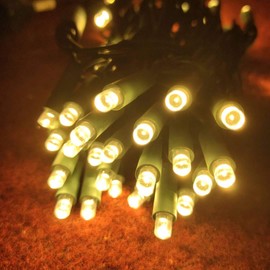 5MM Mini LED Christmas Lights,Led String Lights for Outdoor and Indoor Christmas Trees Decoration,Commercial Grade,Green Wire,17ft,UL Listed (Warm White)