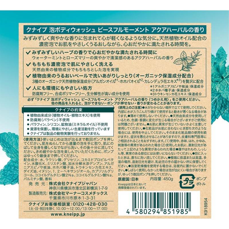 Kneipp Foam Body Wash, Peaceful Moment, Aqua Herbal Scent, 15.9