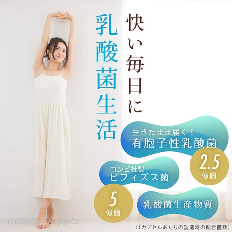 nichie 有胞子性乳酸菌 ビフィズス菌 乳酸菌生成物質 酵素 ソフトカプセル 約3ヶ月分(90粒)