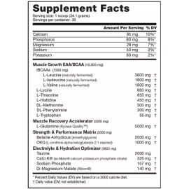 NUTRABIO INTRA BLAST (30 SERVINGS) bcaa eaa amino acid electrolyte pre whey iso - NEW YORK PUNCH