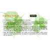 Shampoo Orgánico Y Ecológico Ewé Iré - 500ml