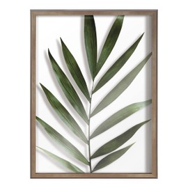 Kate And Laurel Blake Botanical 5F Framed Printed Glass Wall Art By Amy Peterson Art Studio, 18x24 Gold, Modern Wall Decor Inspired By Nature