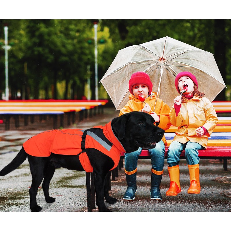 Lautus Pets Dog Rain Coat - Waterproof, Reflective, Bright Orange
