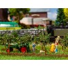10 Small Apple Trees