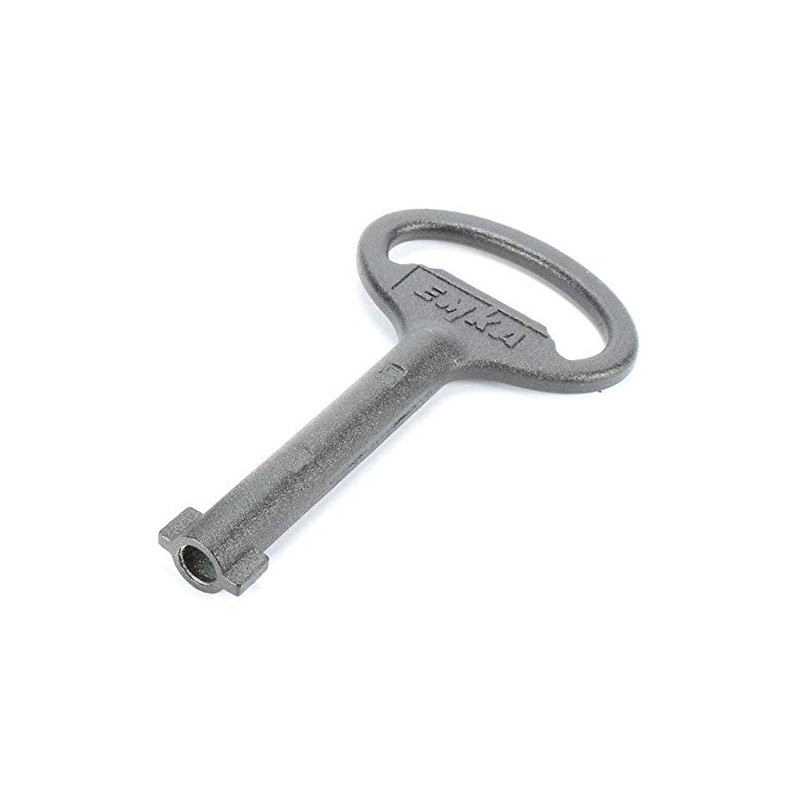 Rittal 2531.000, Double-Bit Enclosure Key, No. 5