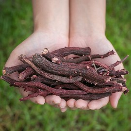 국산 자초(지치 지차) 100g 지추 자근 뿌리 말린 건조 건 차 보랏빛 한방 Domestic Jacho (Gichiji Chi) 100g Dried Purple Herbal Tea from Zichu Jageun Root