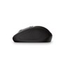 Trust Primo Kabellose Optische Maus, Maus für Laptop mit Speicherbarem