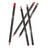 Italia Deluxe Kit De 20 Pzas Lapiz De Labios Y