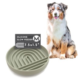 Should We Go? - The Slowdown Bowl Silicone Slow Feeder for Dogs & Puppies, Slow Eating, Modern Lick Mat Design, Reduces Gulping, Fits 2 Cups 7.5” Across x 1.5” Tall, Mealtime Challenge, Medium-Sage