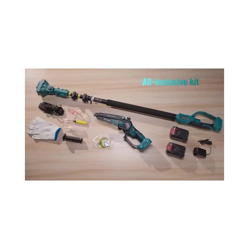 Seesii 2-IN-1 Cordless Pole Saw & Mini Chainsaw 6 inch