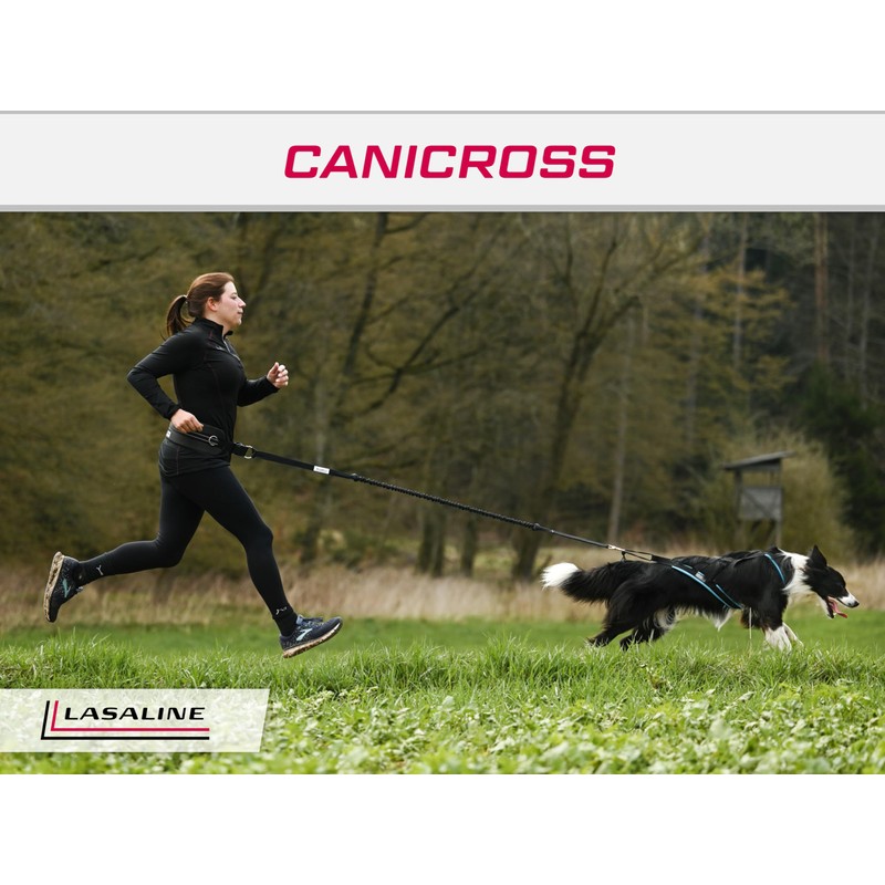 LASALINE XBack Dog Harness - Bikejoring, Dog Pull, Ski Joring