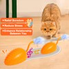 Mity rain Cat Interactive Toys for Indoor Cats, Remote Control