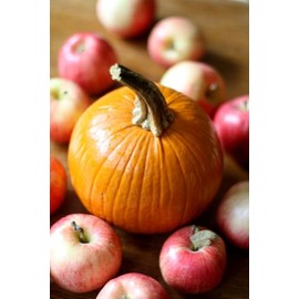 Quiet Time Boutique 1 oz Candle Soap Home Fragrance Oil-Apple Pumpkin Spice