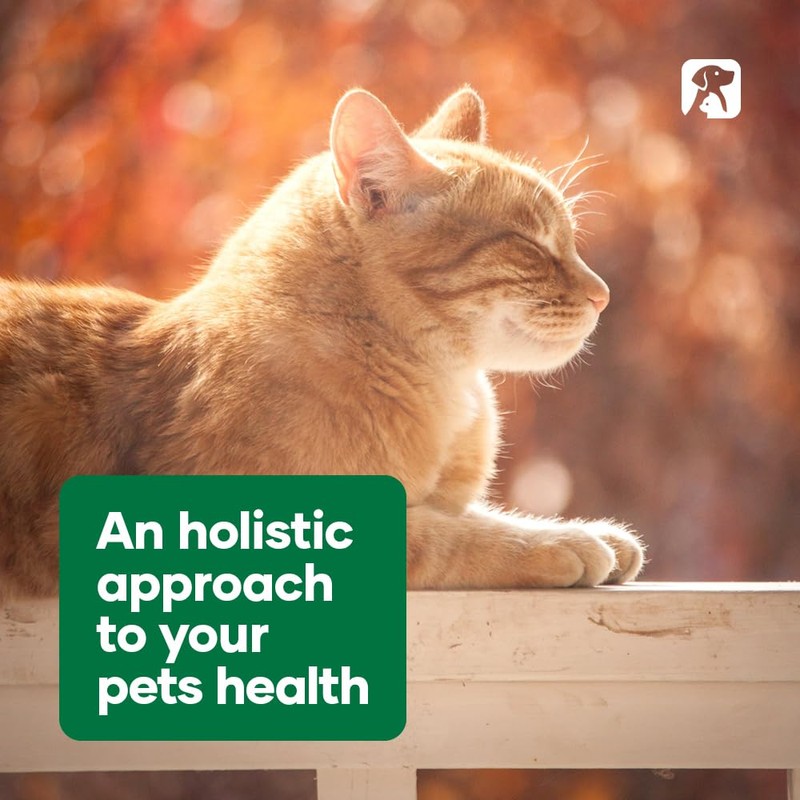 Natural Animal Solutions Calming Chewable Tablets for Dogs Anxiety Support.