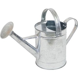 Galvanize Water Shower S 1.65L 4473