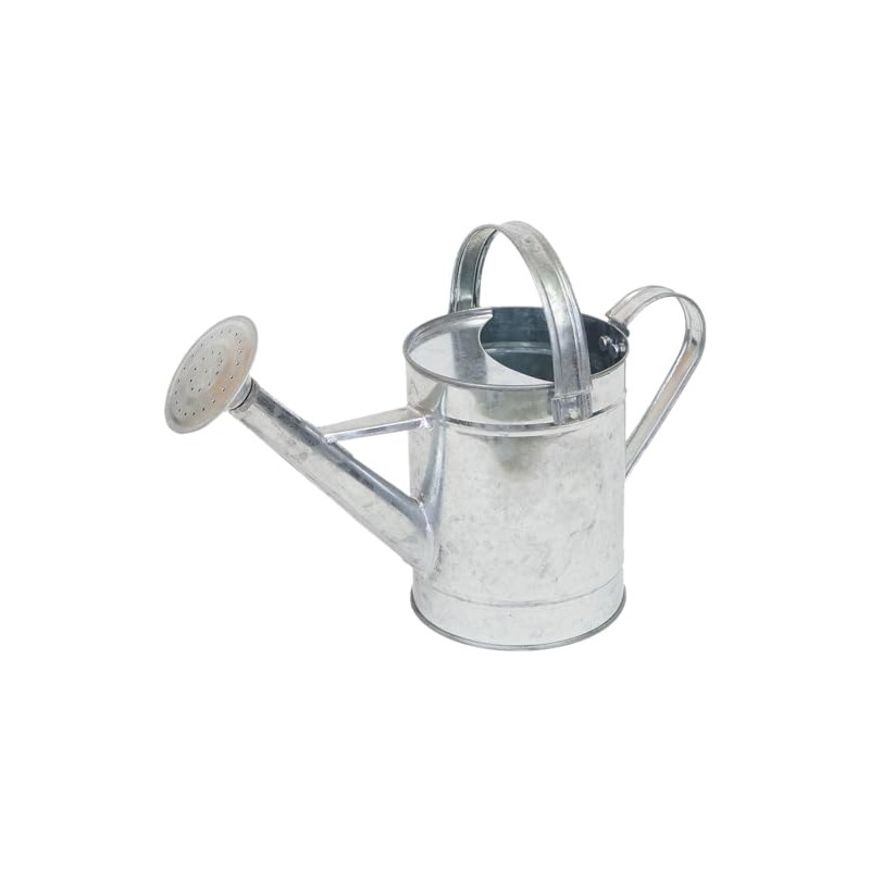 Galvanize Water Shower S 1.65L 4473