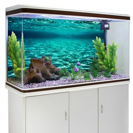 YongFoto Fish Tank Background 30x18 inch Aquarium Background Turquoise Clear Water Ripple Lakebed Undersea Ocean Floor Underwater Seabed Backdrop Terrarium Background Reptile Habitat Background