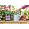 Miracle-Gro Water Soluble Bloom Booster Flower Food - Big Blooms