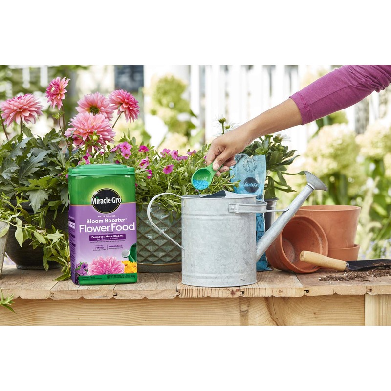 Miracle-Gro Water Soluble Bloom Booster Flower Food - Big Blooms