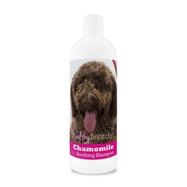 Healthy Breeds Spanish Water Dog Chamomile Soothing Dog Shampoo 8 oz