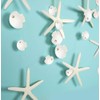 Decor365 White Finger Starfish Sea Shell Garland Ocean Coastal Nautical