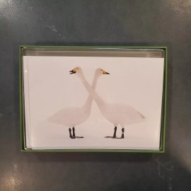 Pomegranite Sierra Club Holiday Cards Set Of 12 Whooper Swans Pomegranite SC3354