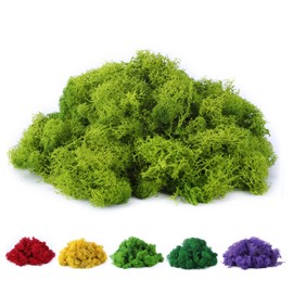 Fake Moss Preserved Reindeer Moss 3.5 OZ for Potted Plants, Arts and Crafts, Terrariums, Wall Decor, Centerpieces, Fairy Gardens, Wedding, Floral Project (Chartreuse)