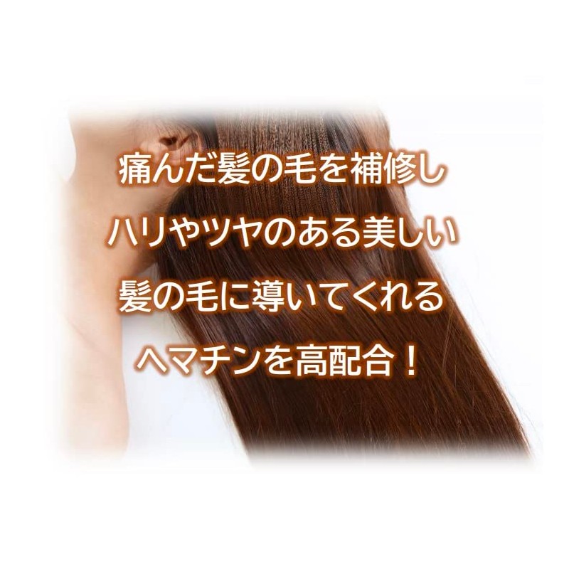 Cocoil Premium Shampoo, 16.9 fl oz (500 ml)