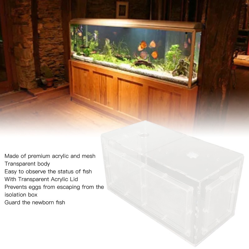 Fish Breeding Isolation Box Transparent Mesh Side Fish Tank Incubator