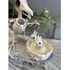 Crazy Bonez Skeleton Nest with Chicks