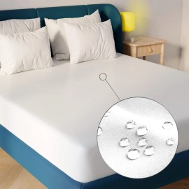 Niagara Sleep Solution Extra Soft Waterproof Queen Mattress Protector, 60x80 ...