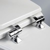 Mayfair Bennett Toilet Seat with Chrome Hinges, Slow Close Wood