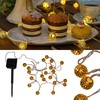 Pauleen 48183 Sunshine Glamour Solar Fairy Lights for Balcony or