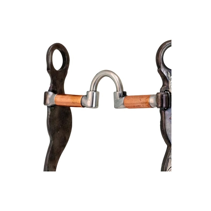 Cowboy Tack Desert Rose Correction Shank Bit