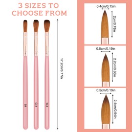 3Pcs Acrylic Nail Brush Set for Acrylic Powder Acrylic Brush Nail Brush Set for Nail Extension Acrylic Nail Art Design Painting Tools Women Gift Set Manicure Pedicure Nail Brushes for Professional Use