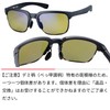 SWANS ER1-0168_MBK 0168 MBK Matte Black x Demi Smoke Polarized