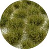 Green Stuff World 12mm Dry Green Grass Tufts