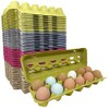 Paper Pulp Egg Cartons - Assorted Colors - 50 Pack