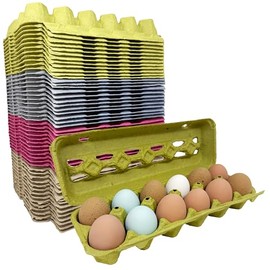 Paper Pulp Egg Cartons - Assorted Colors - 50 Pack