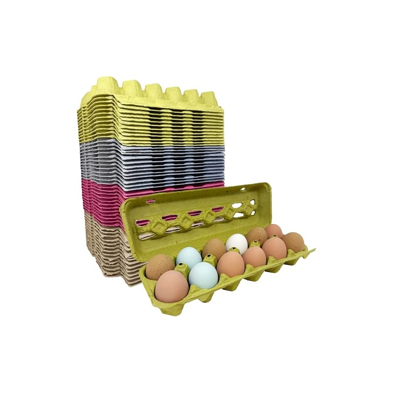 Paper Pulp Egg Cartons - Assorted Colors - 50 Pack